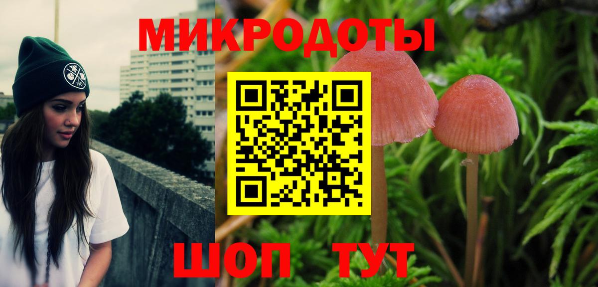Вологда  Псилоцибиновые грибы GOLDEN TEACHER  Вход с VPN 
