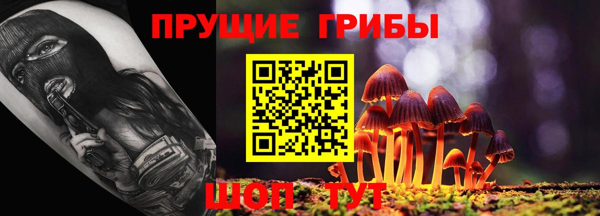 Псилоцибиновые грибы мицелий Вологда